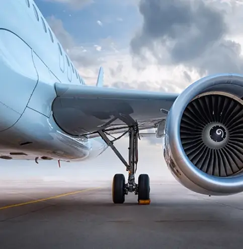 wing